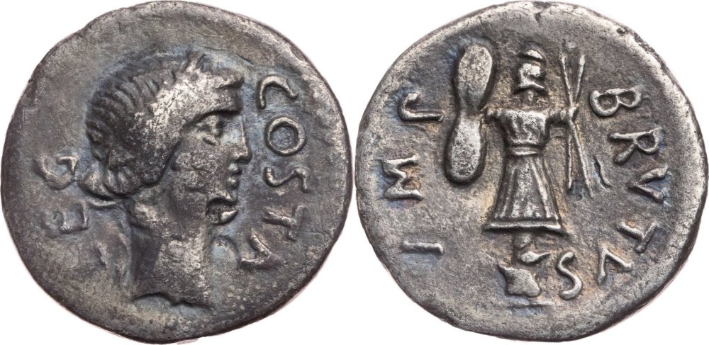 pedanio costa.webp.b.jpg