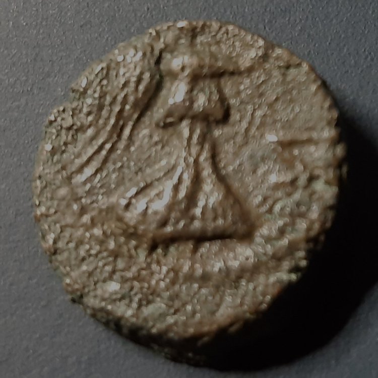 Rovescio Tetra da identificare.jpg