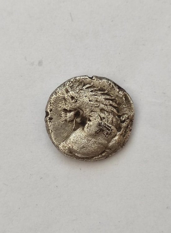 281268822_596540598063181_6583761289800126869_n (1).jpg