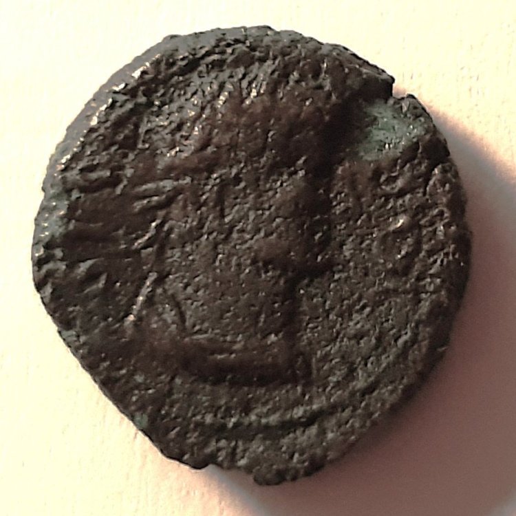 Diritto Tetra da identificare 1.jpg