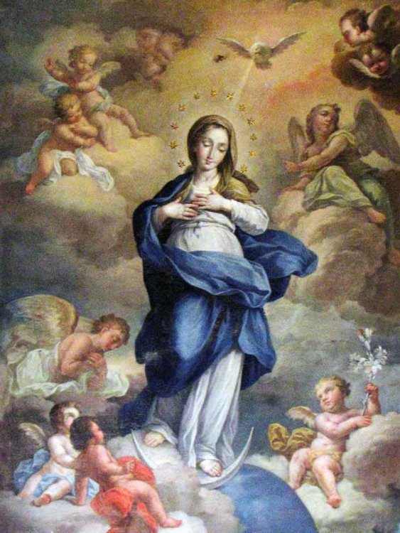 indirizzo_immacolata_concezione.jpg