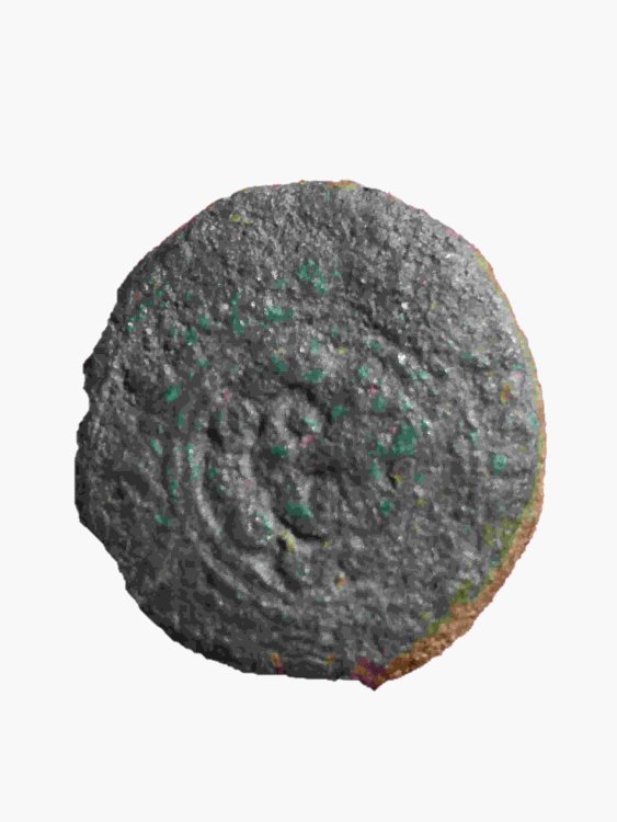 Senza titolo1-compressed(2).jpg