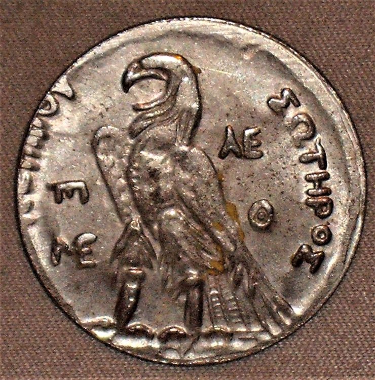 tetradramma Tolomeo II° Filadelfo  r.JPG