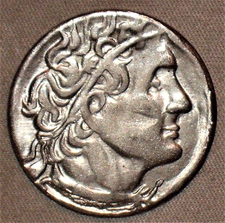 tetradramma Tolomeo II° Filadelfo d.JPG