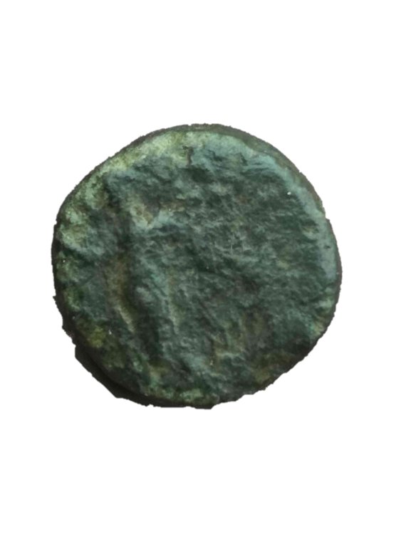 Senza titolo1-compressed(5).jpg