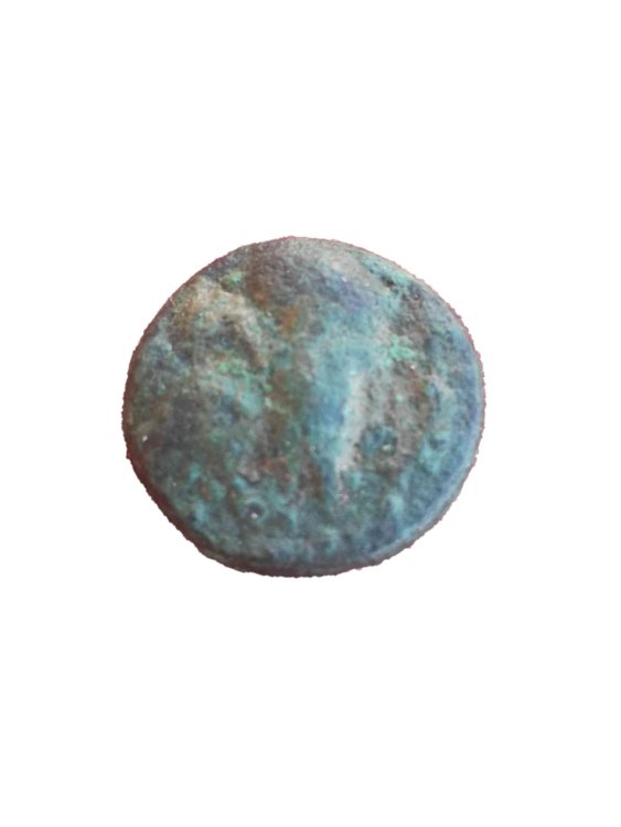 Senza titolo-compressed(2).jpg