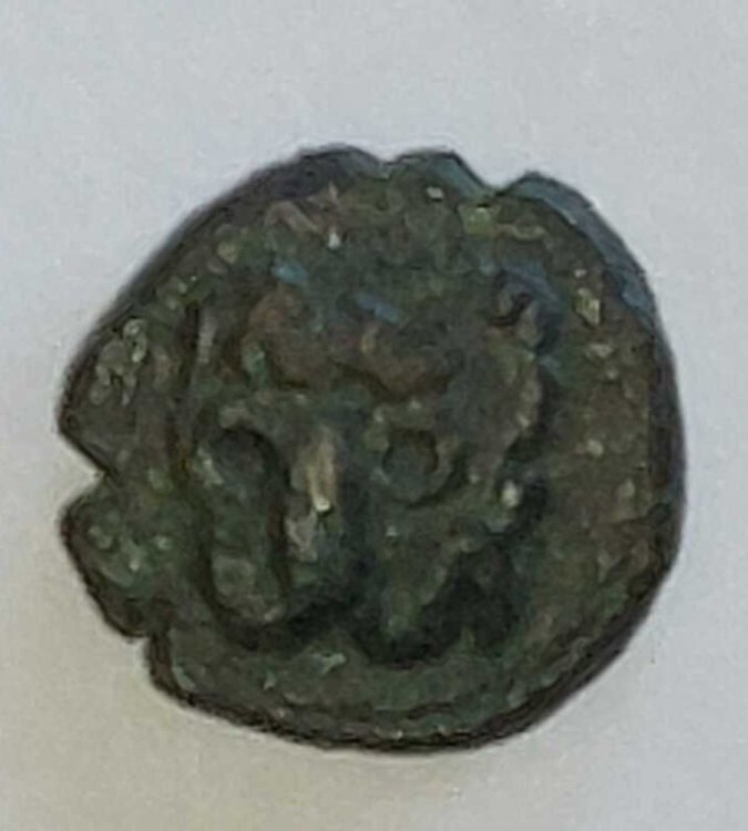 2022-6-19 12-19-36.jpg