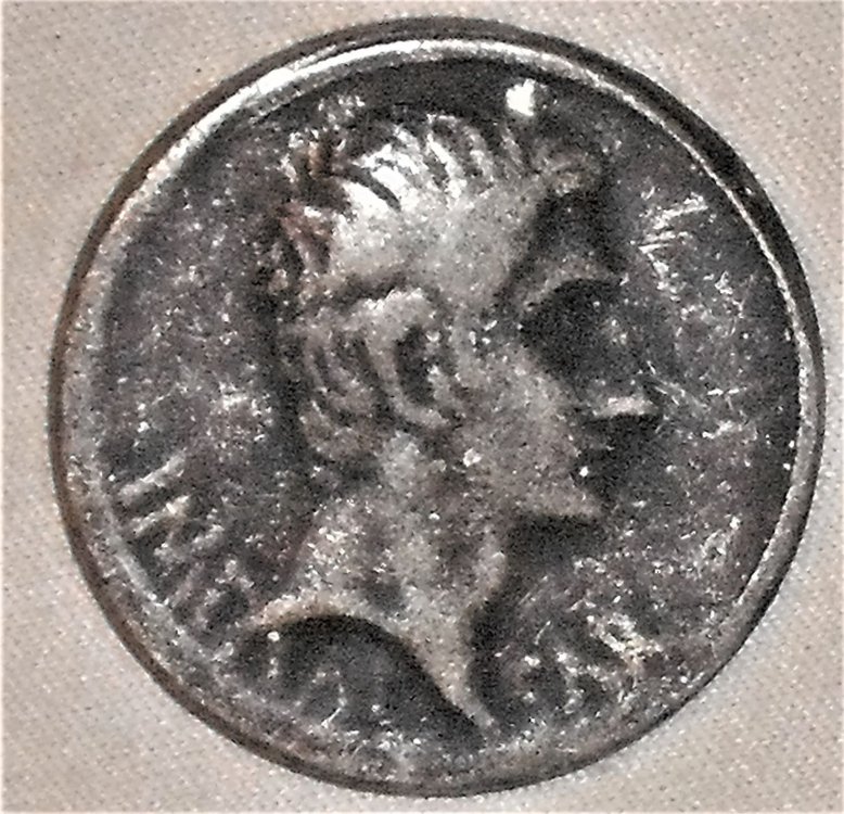 tetradramma augusto d.JPG