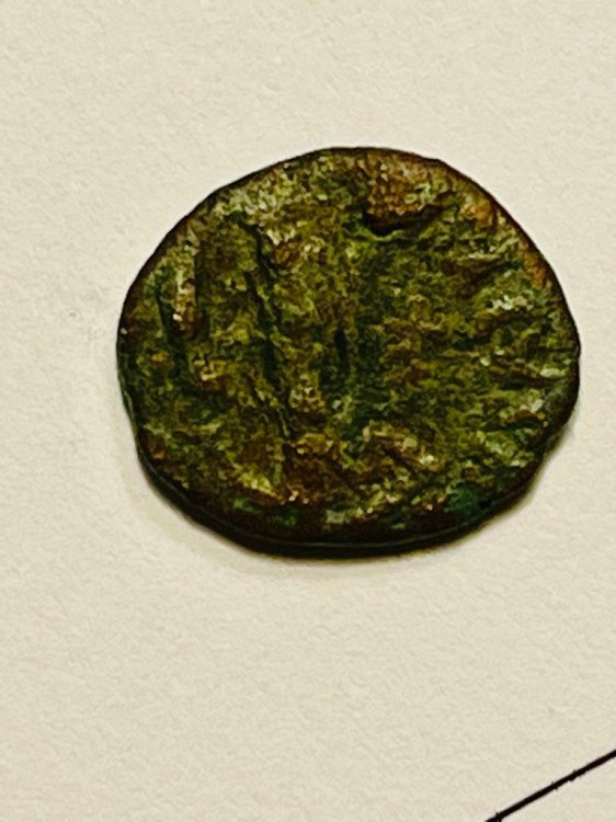 WhatsApp Image 2022-06-04 at 17.30.12 (1).jpeg