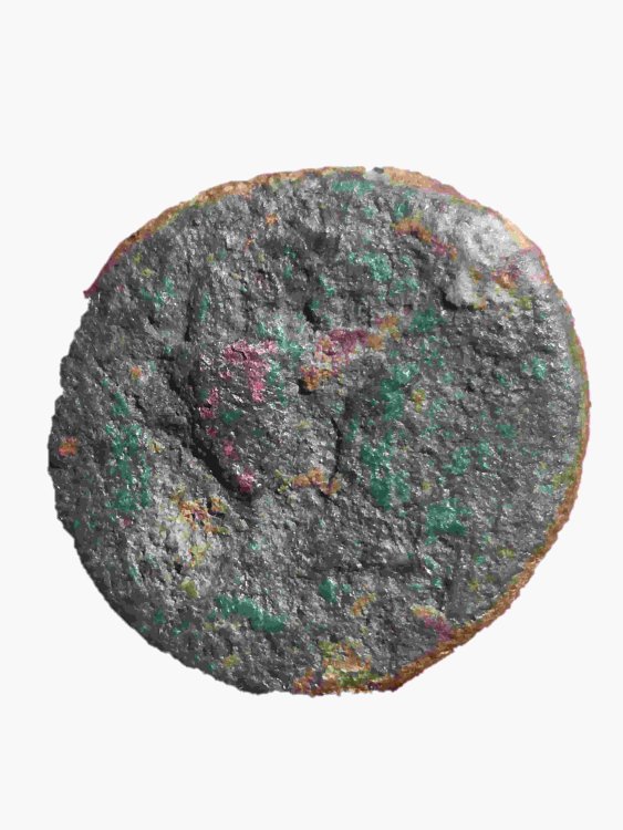 Senza titolo2-compressed(1).jpg