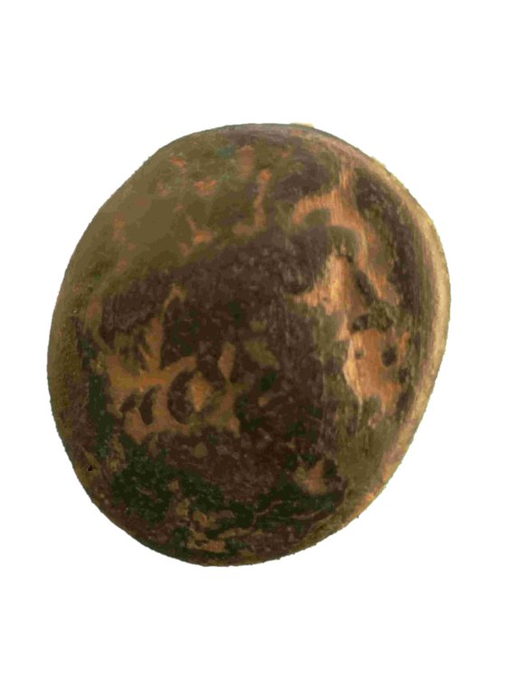 Senza titolo-compressed.jpg