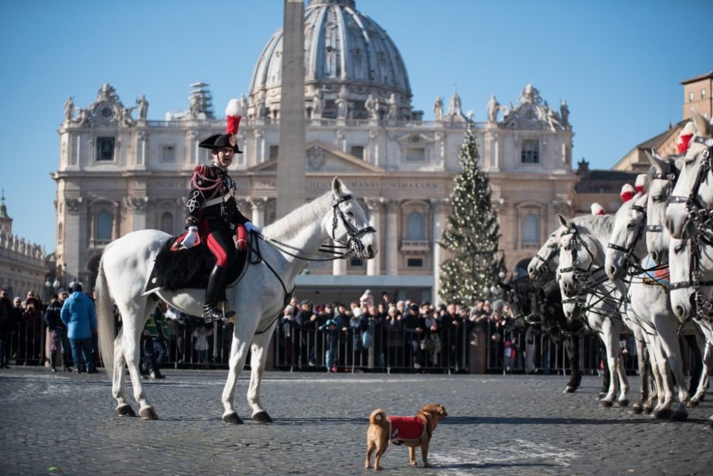 briciola-mascotte-carabinieri-1024x684.thumb.jpg.4f329fcc36fa6f9205558c0d74513800.jpg