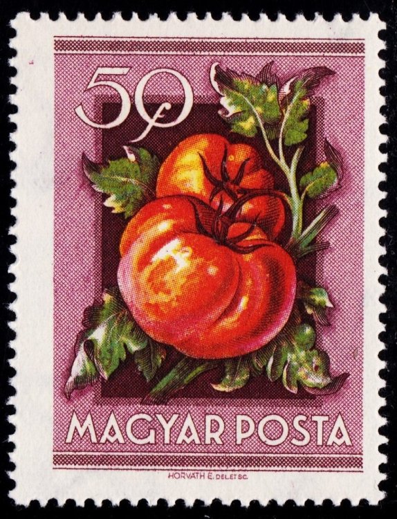 Hungary 1953 Fruits 21024.jpg