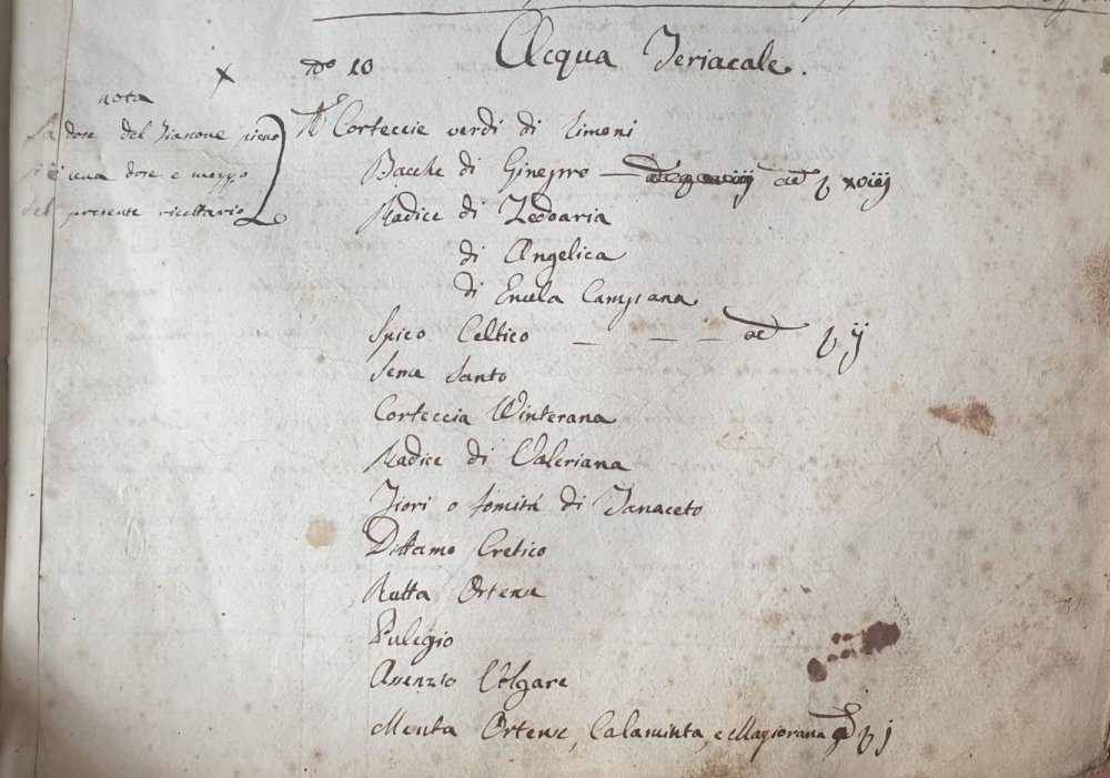 WhatsApp Image 2022-08-17 at 17.38.16.jpeg