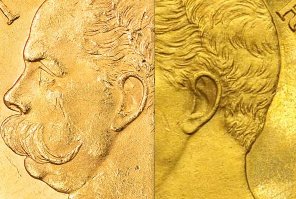 differenza orecchio.JPG