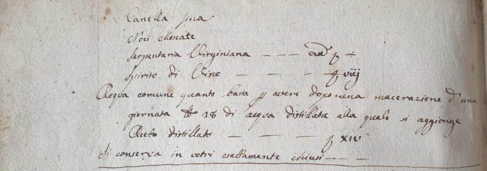 WhatsApp Image 2022-08-17 at 17.38.22.jpeg