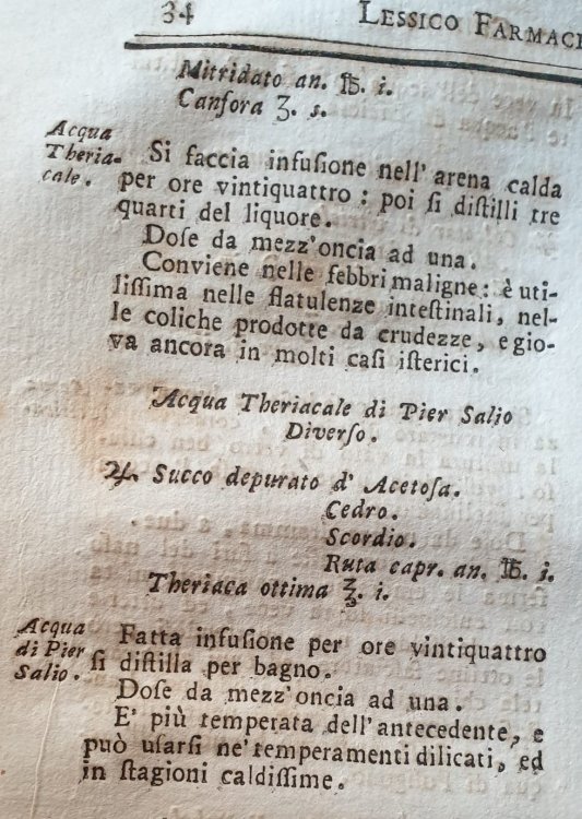 WhatsApp Image 2022-08-10 at 13.16.58.jpeg