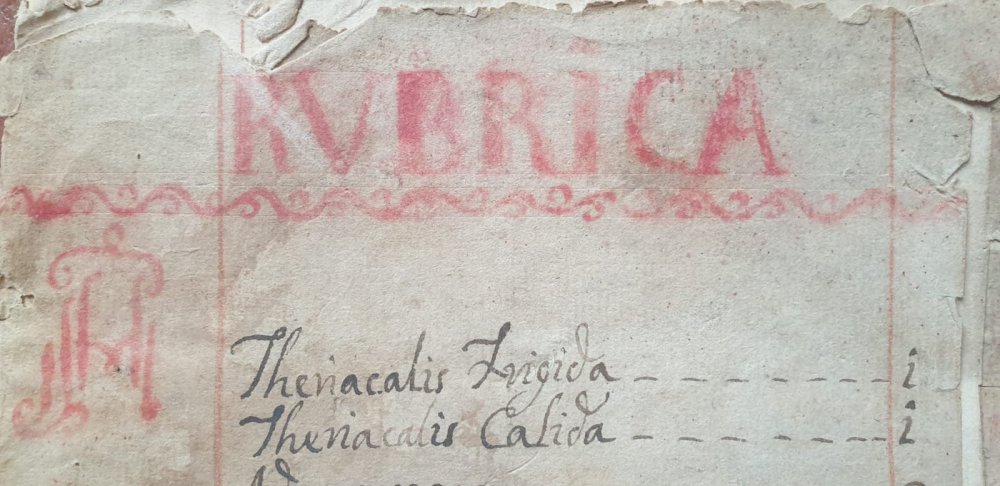 WhatsApp Image 2022-08-17 at 17.23.12.jpeg