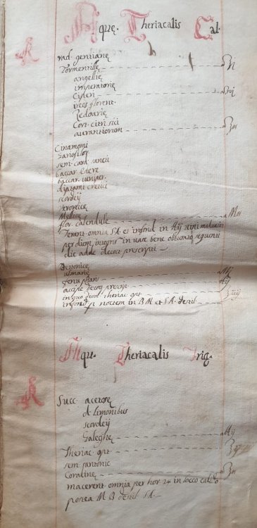 WhatsApp Image 2022-08-17 at 17.23.13.jpeg