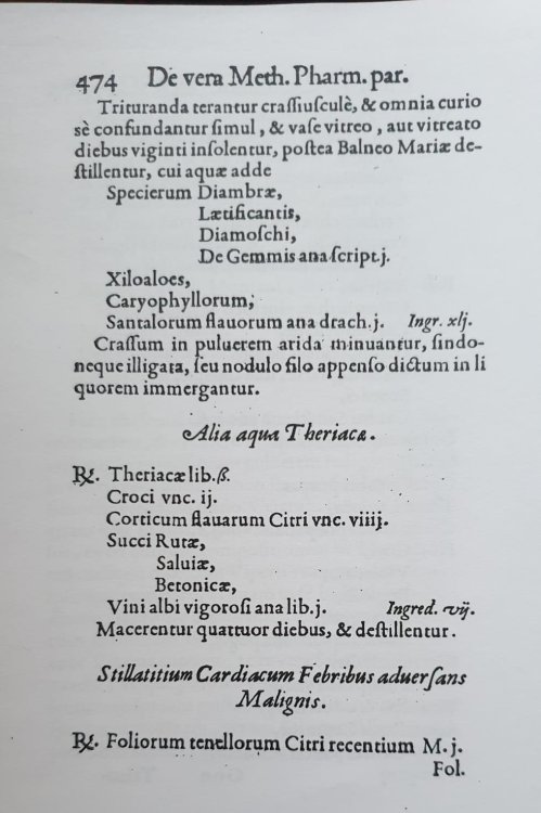 WhatsApp Image 2022-08-11 at 20.32.01.jpeg