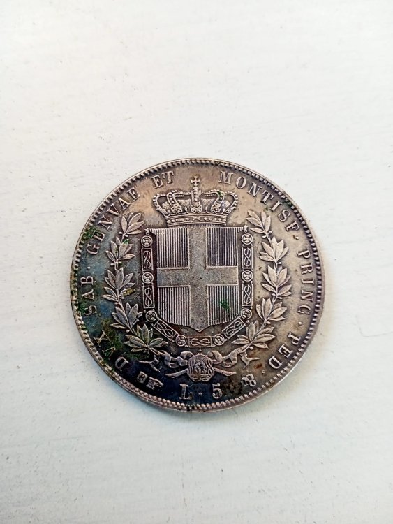 WhatsApp Image 2022-08-26 at 12.28.27.jpeg