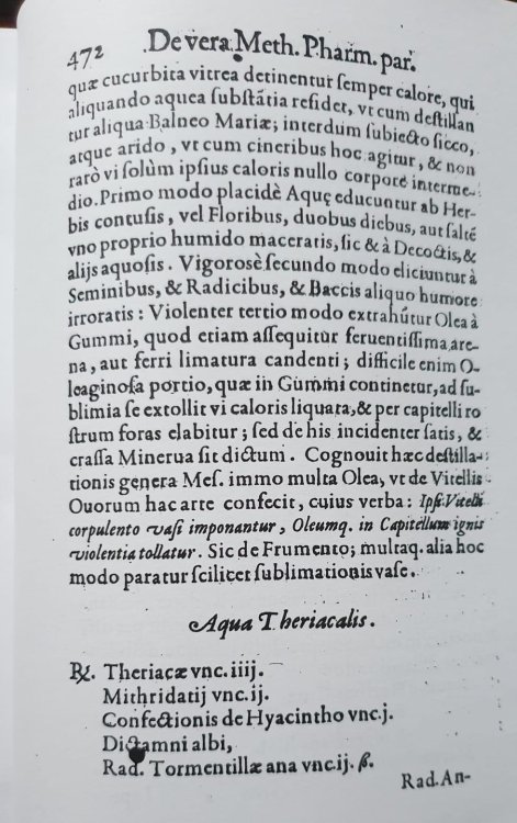 WhatsApp Image 2022-08-11 at 20.32.02.jpeg