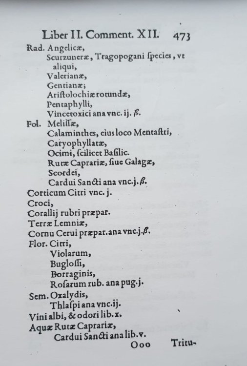 WhatsApp Image 2022-08-11 at 20.32.02 (1).jpeg