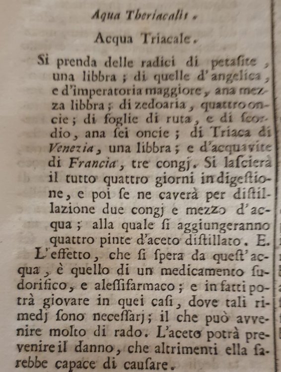 WhatsApp Image 2022-08-10 at 13.17.07 (2).jpeg