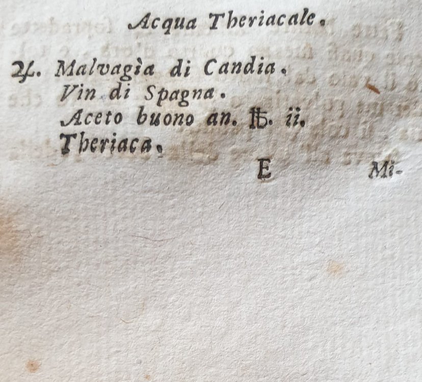 WhatsApp Image 2022-08-10 at 13.17.05.jpeg