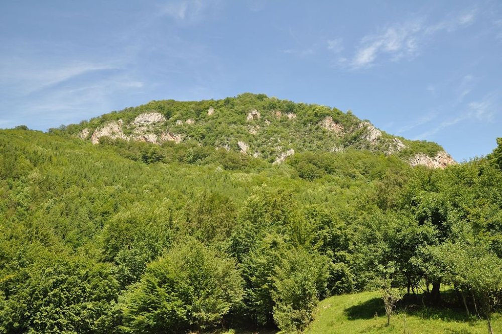 Piatra_Rosie_Dacian_fortress_134.jpg