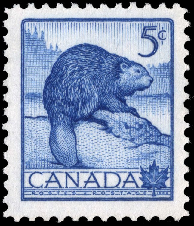 beaver-canada-stamp.jpg
