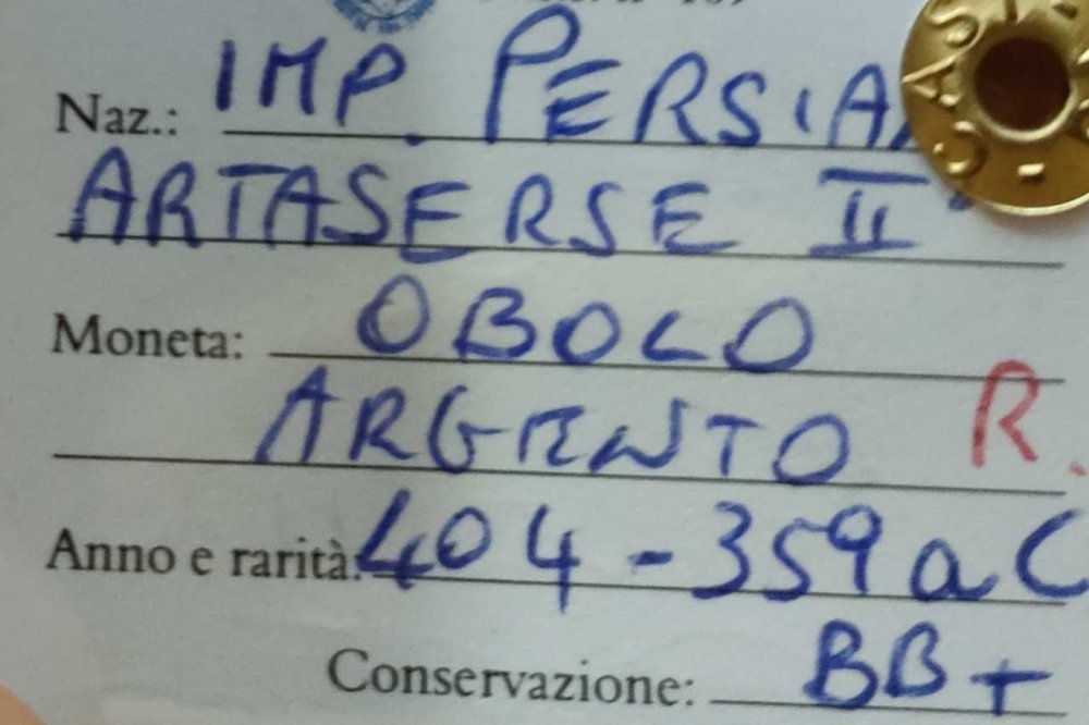 c1_IMG_20220918_205258_     183522678d3_2.jpeg