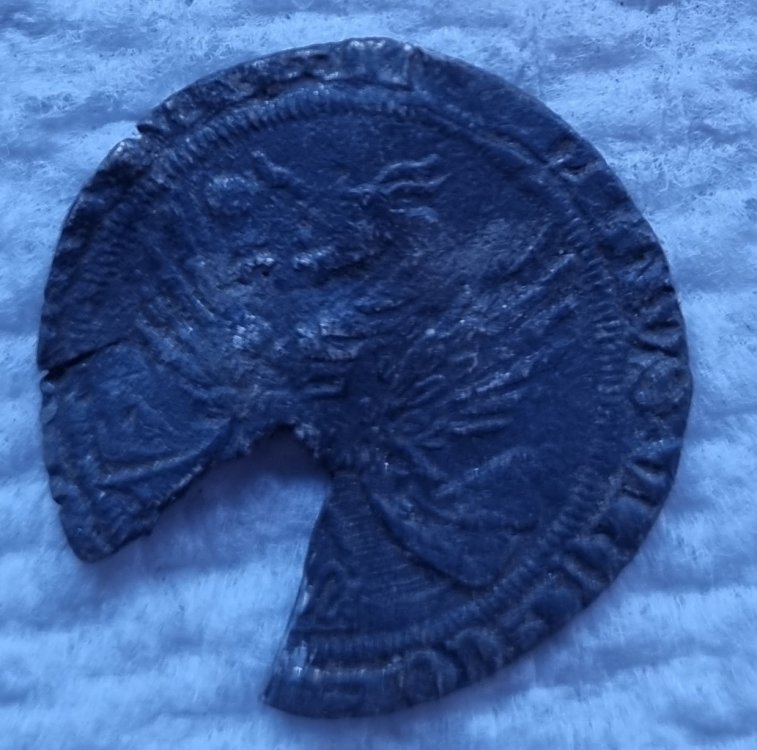 20220918_181903.jpg