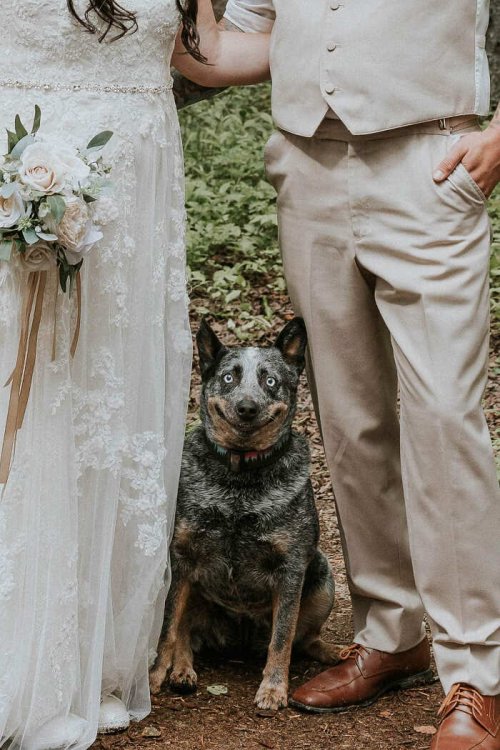 cane-photobombing-foto-matrimonio-sarah-pukin-photography-1.jpg