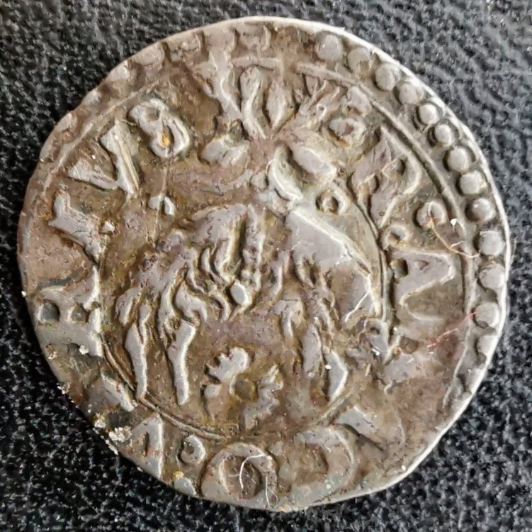 cinquina drittobis.jpeg