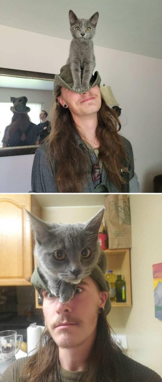 foto-gatti-adorabili-16a (1).jpg