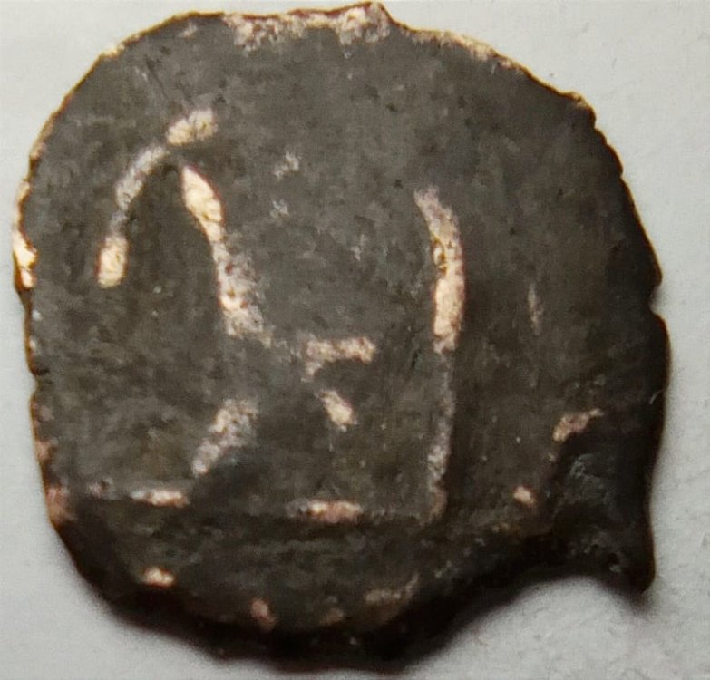 WhatsApp Image 2022-10-15 at 13.36.34.jpeg