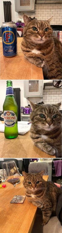 foto-buonumore-animali-27-scaled (2).jpg