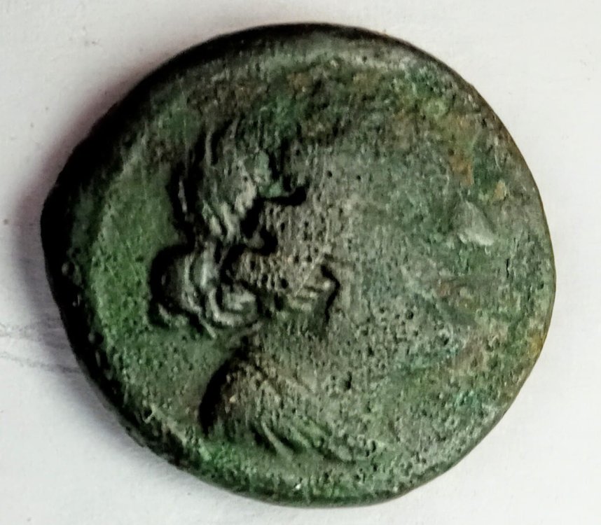 WhatsApp Image 2022-10-13 at 10.11.49.jpeg