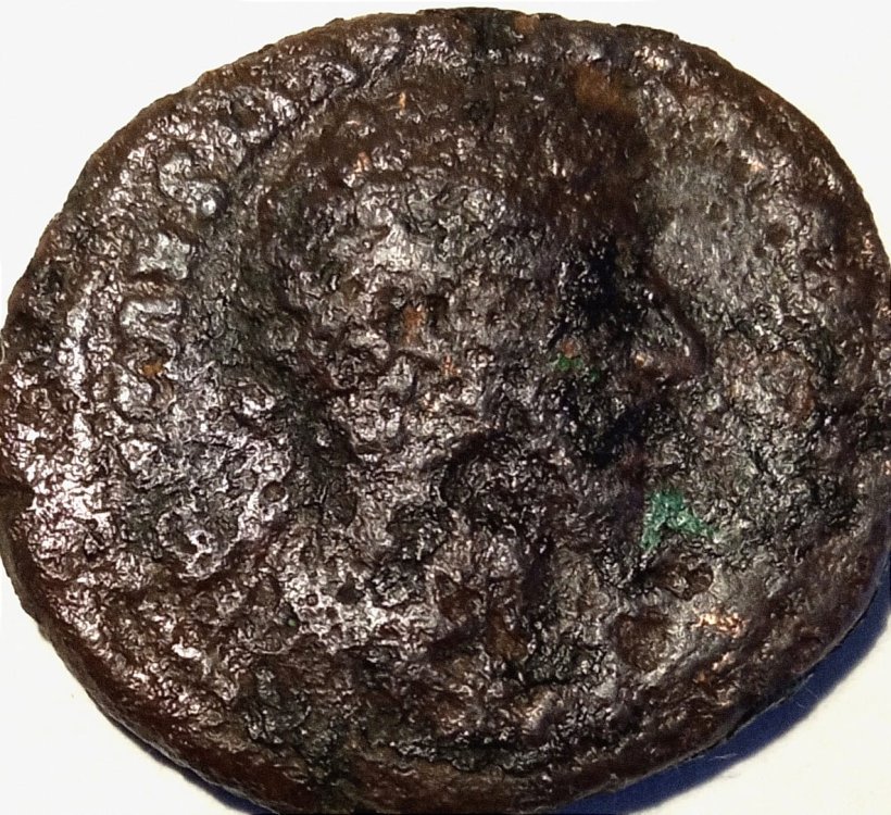 WhatsApp Image 2022-11-18 at 14.24.09.jpeg