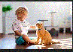 1910925097_bimboegatto.GIF.8c7c15f68deaa6c65c6eb6d0d4416655.GIF