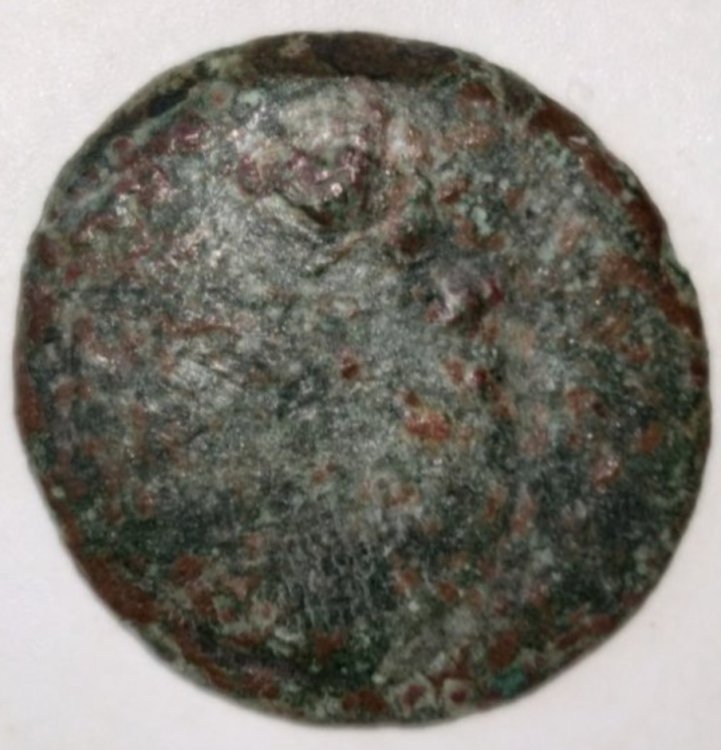 Screenshot_20221121-215643_Samsung Internet.jpg