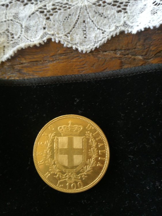 WhatsApp Image 2022-11-18 at 10.37.12.jpeg