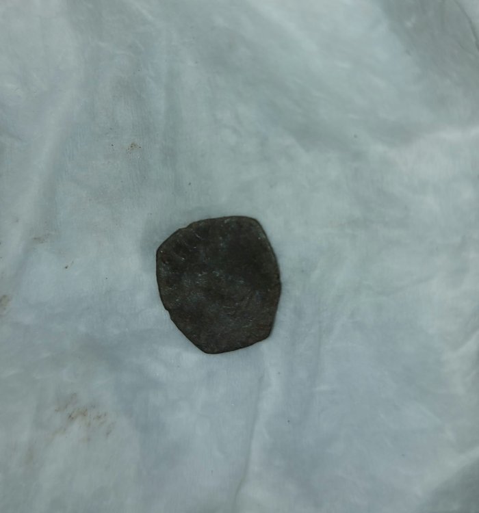 WhatsApp Image 2022-12-28 at 20.46.50.jpeg