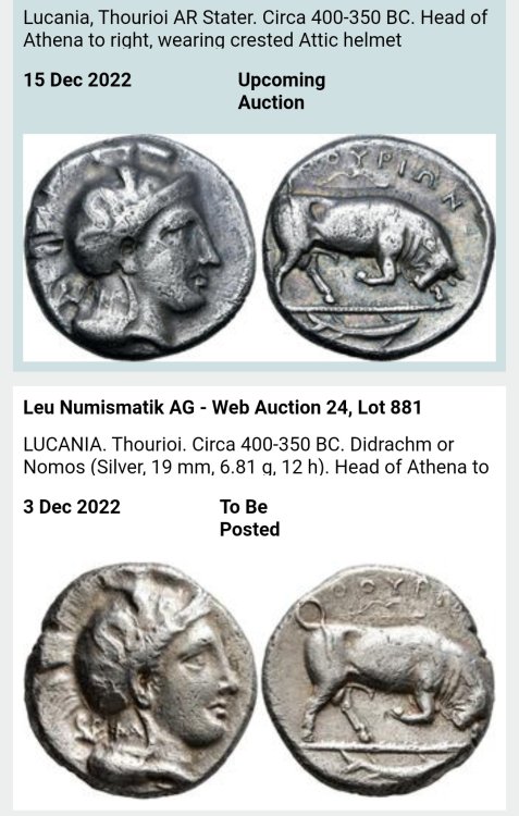 Screenshot_20221204-154516_Samsung Internet~2.jpg