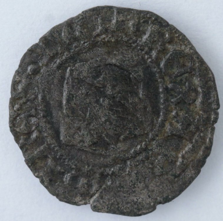 DENARO GIOVANNA E ALFONSO DIR.jpg