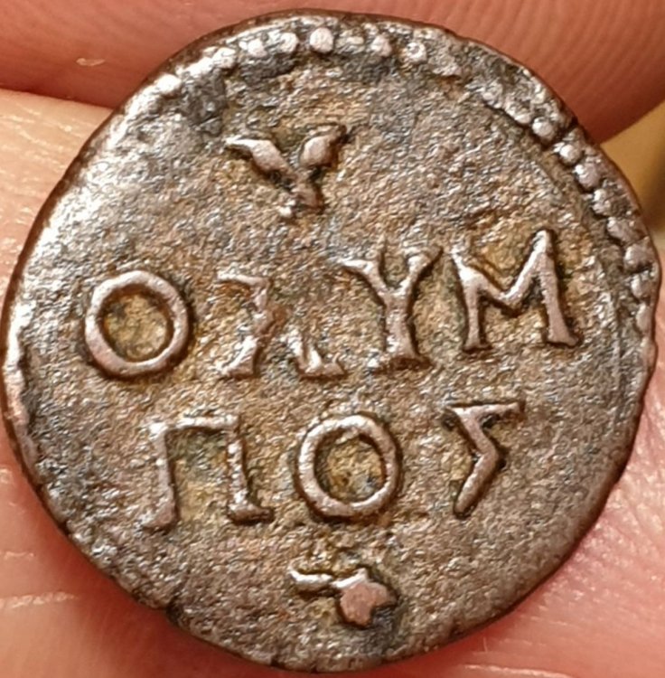 Quattrino Mantova R.jpg