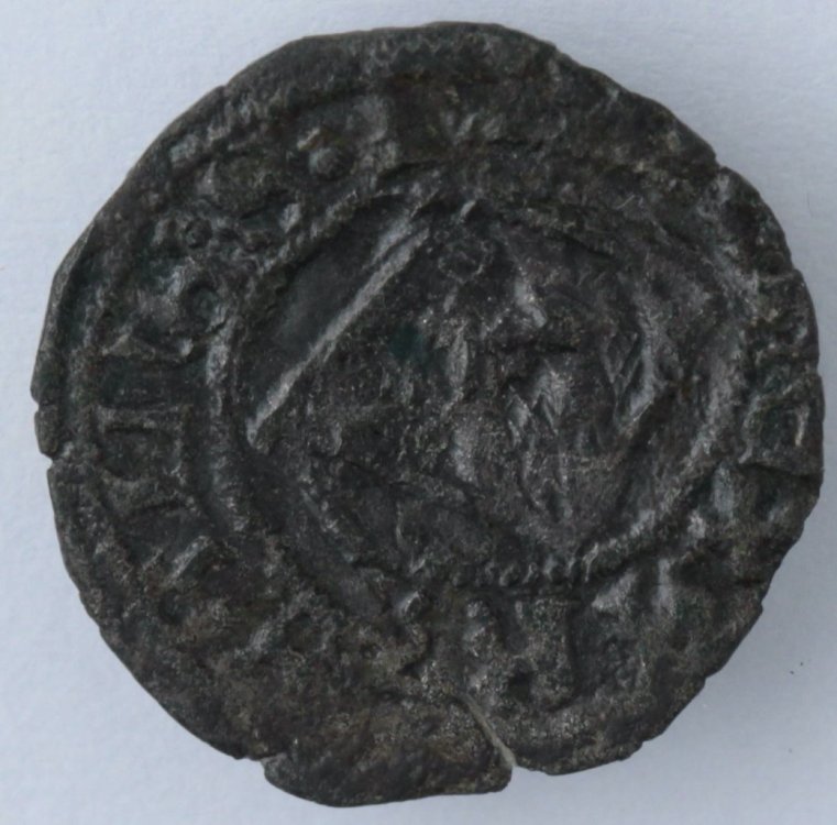 DENARO GIOVANNA E ALFONSO ROV.jpg