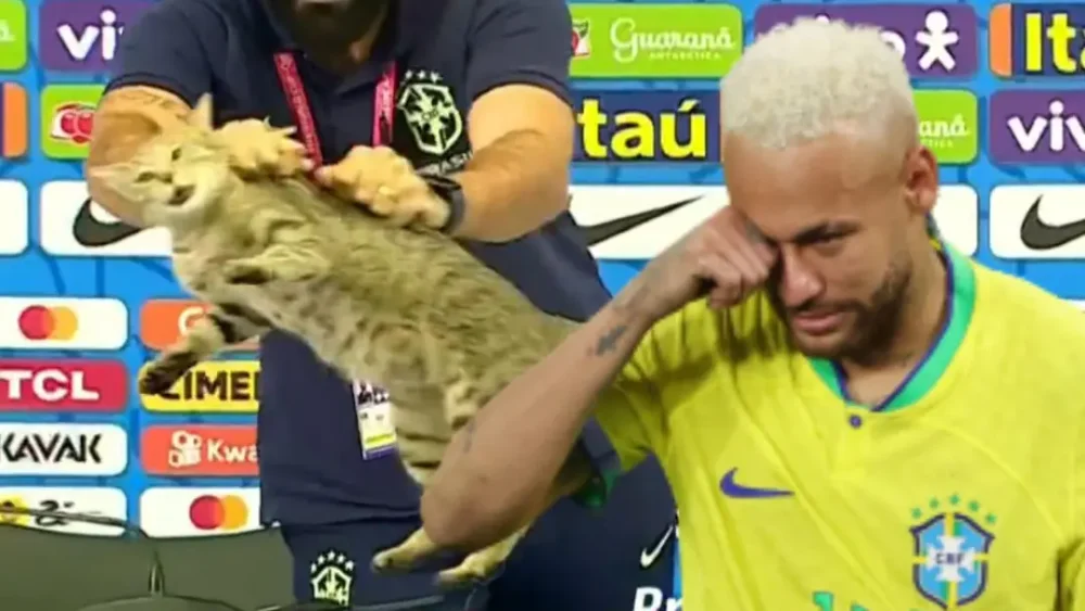 neymar-gatto-2-1200x675.webp