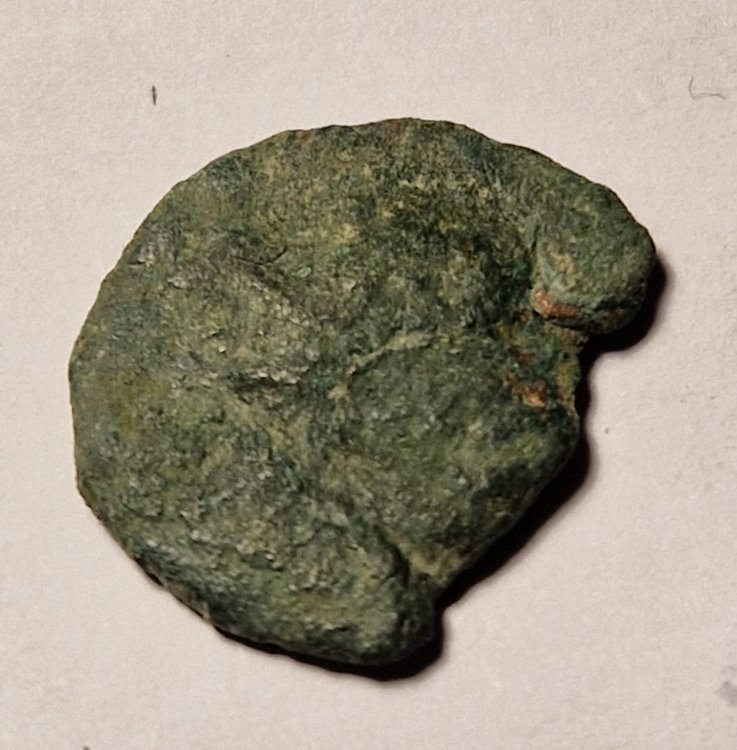 IMG-20230129-WA0003 (1).jpg